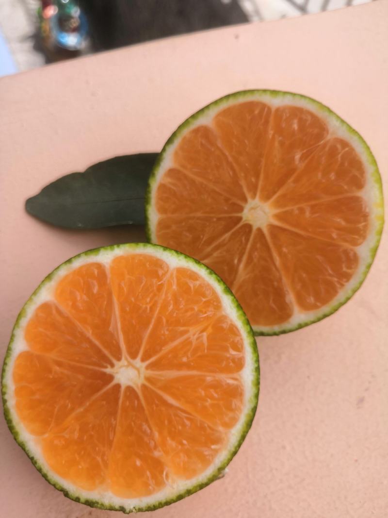 特早蜜桔堂上特早蜜桔云南广南特早蜜桔