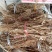 石参根三年的根货质量好，欢迎选购。