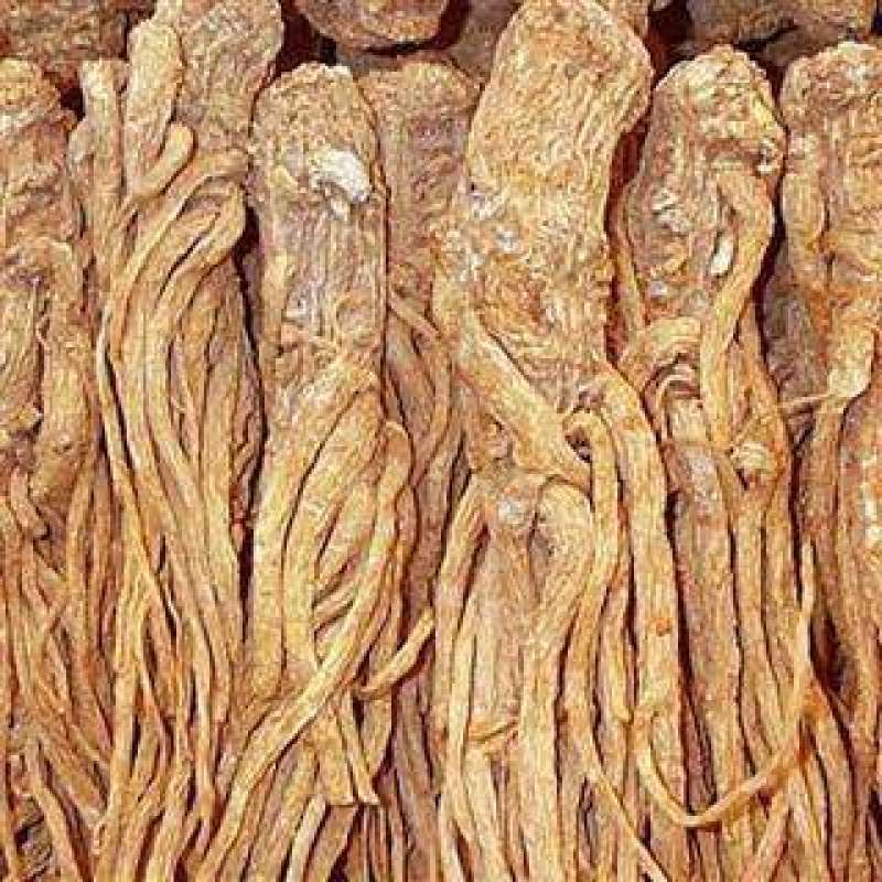 当归头归头片当归片货好量大无硫货不满意保退换