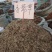 香需草货好漂亮一手货源充足