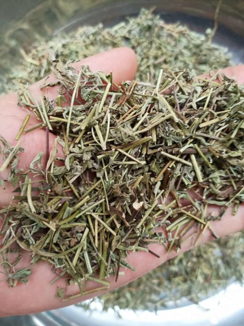 香需草货好漂亮一手货源充足