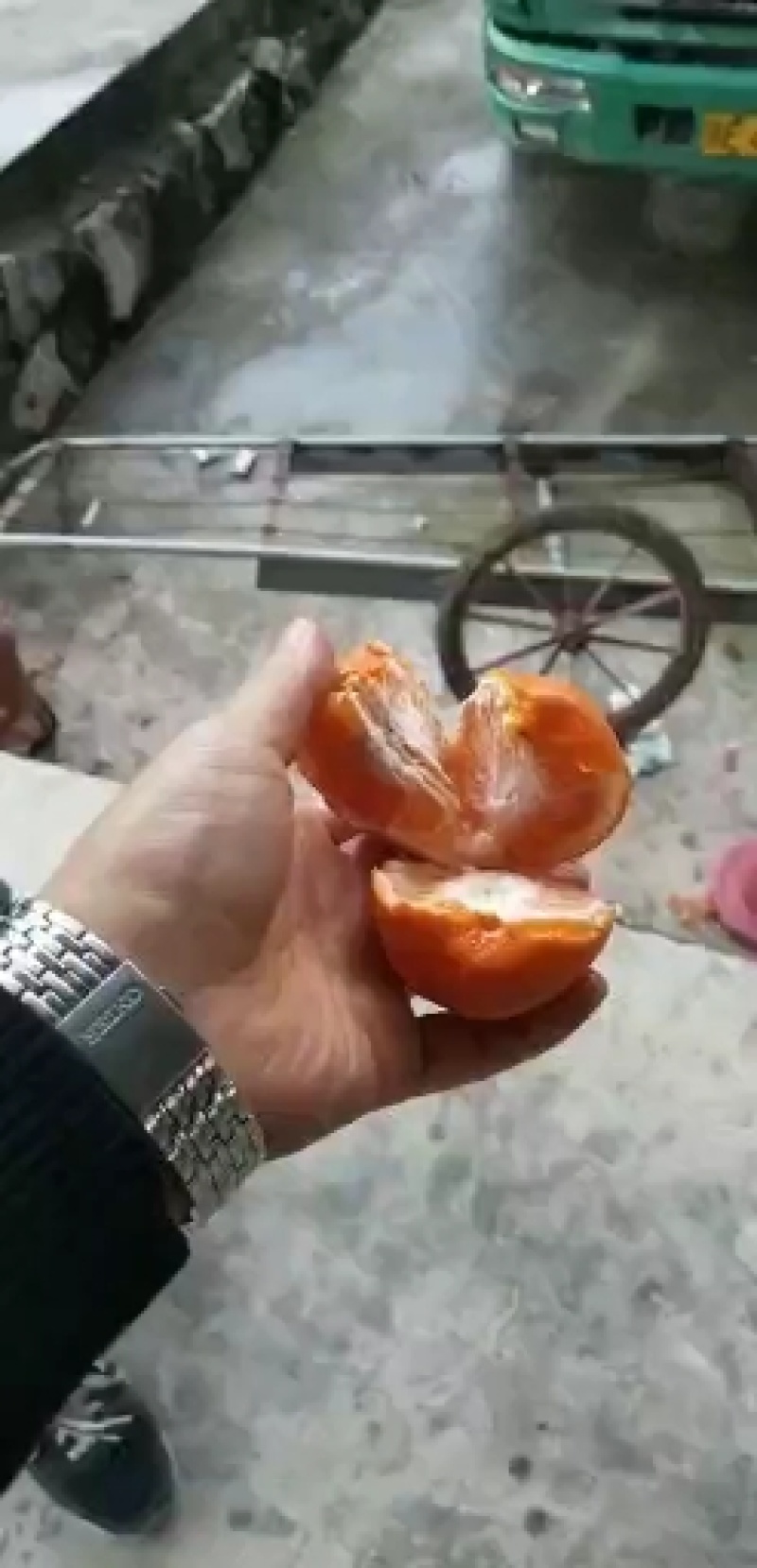 马水桔产地看货采摘，皮薄汁多，诚信经营欢迎咨询订购