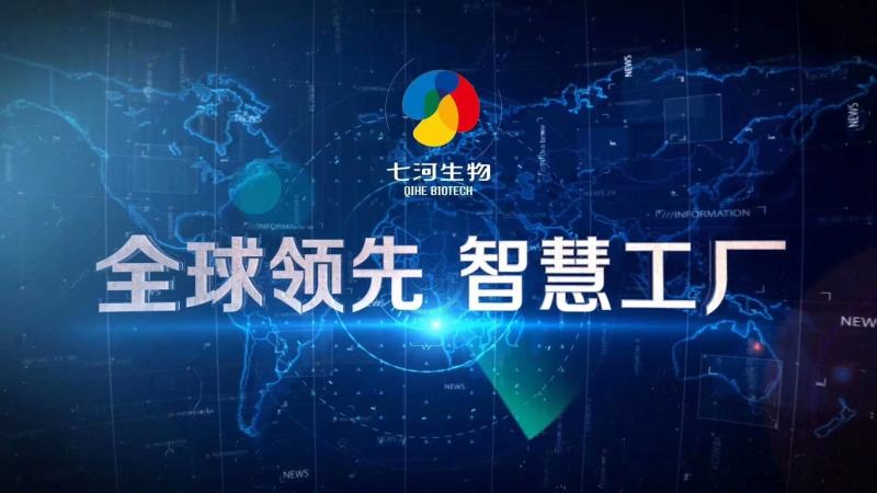 平菇菌种产量高颜色黑