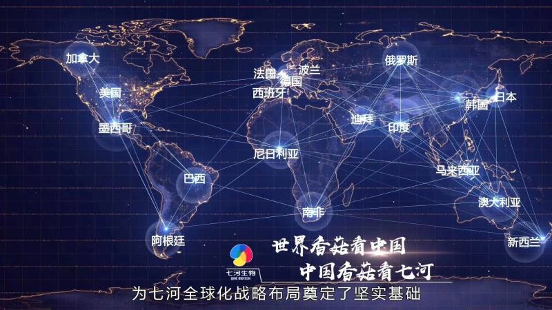 平菇菌种产量高颜色黑