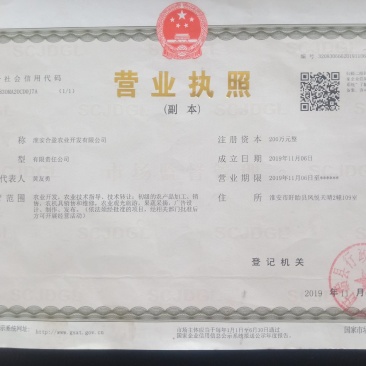 盱眙县仇集散养鸡自然树林鸡