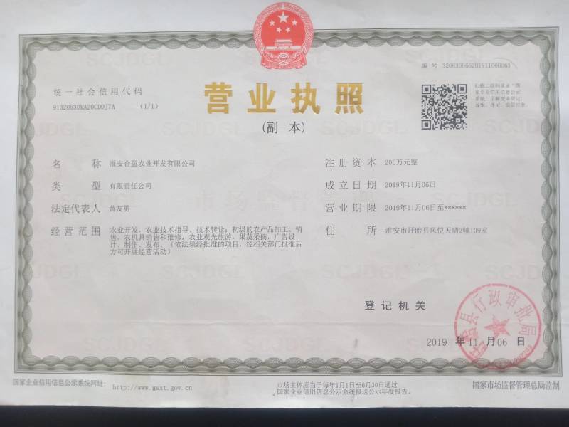 盱眙县仇集散养鸡自然树林鸡