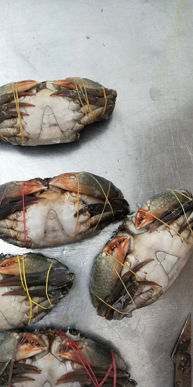 青蟹/肉蟹。活冻品质，一手货源