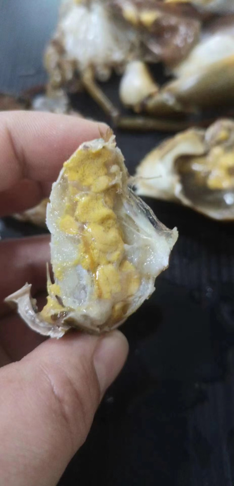 青蟹/肉蟹。活冻品质，一手货源