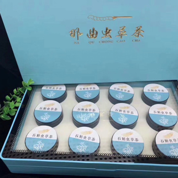 那曲虫草茶网红爆款小罐送礼冬虫夏草茶
