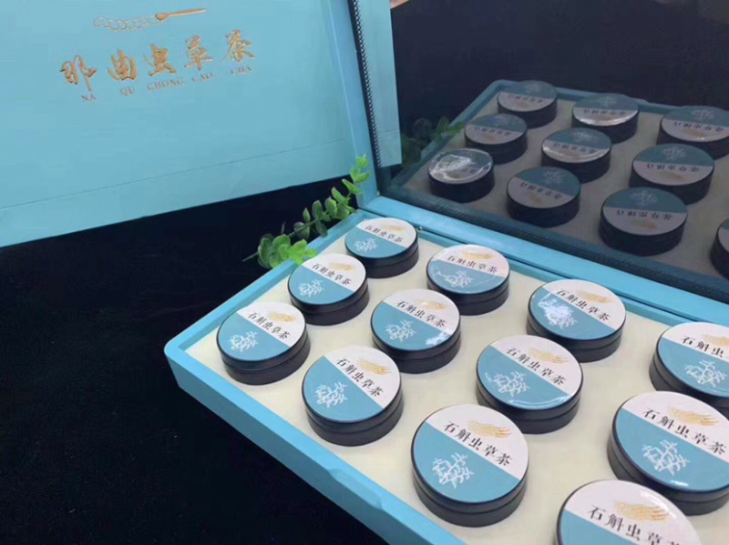 那曲虫草茶网红爆款小罐送礼冬虫夏草茶
