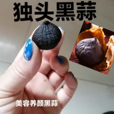 独头黑蒜多瓣黑蒜软糯香甜黑大蒜包邮一斤装