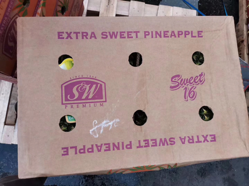 菲律宾凤梨香水凤梨无孔凤梨