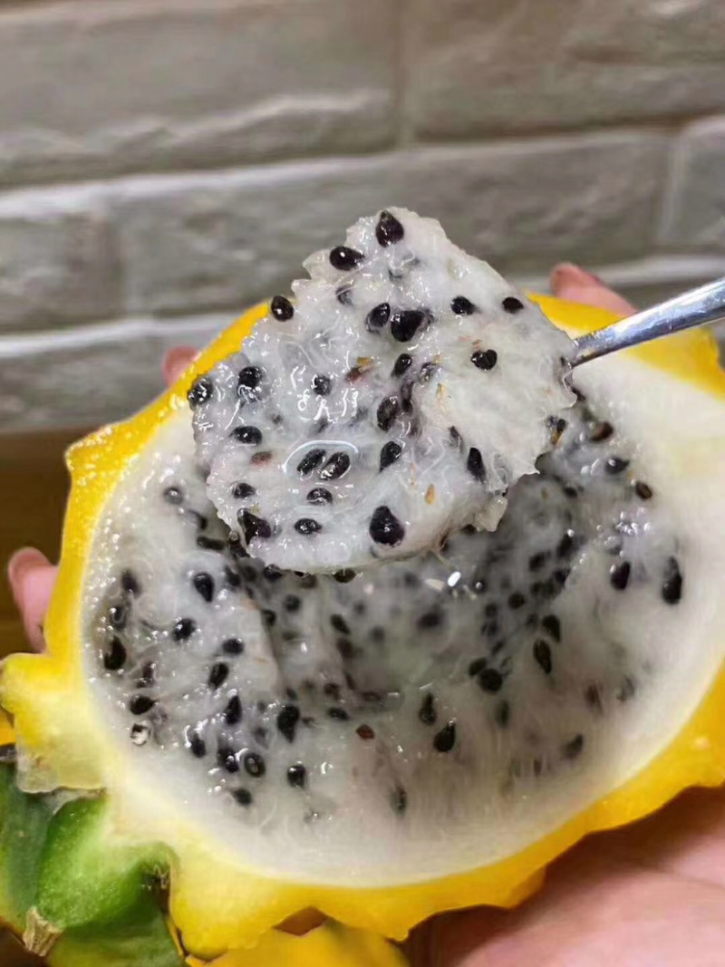 燕窝果哥伦比亚品种燕窝果黄皮火龙果