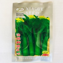 油绿甜脆菜心种子(耐热菜苔粗大油青有光泽