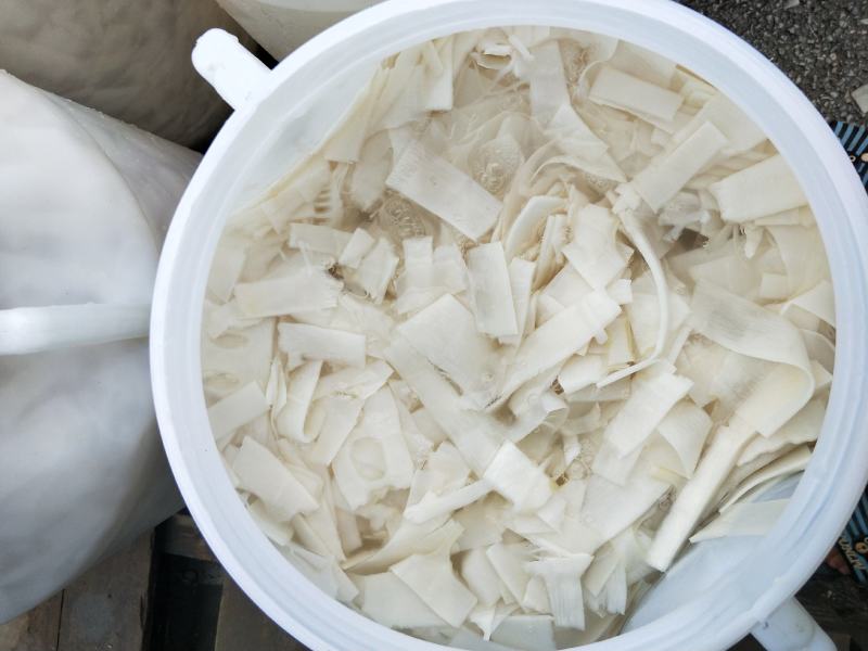 加工笋丝，笋片，可代加工