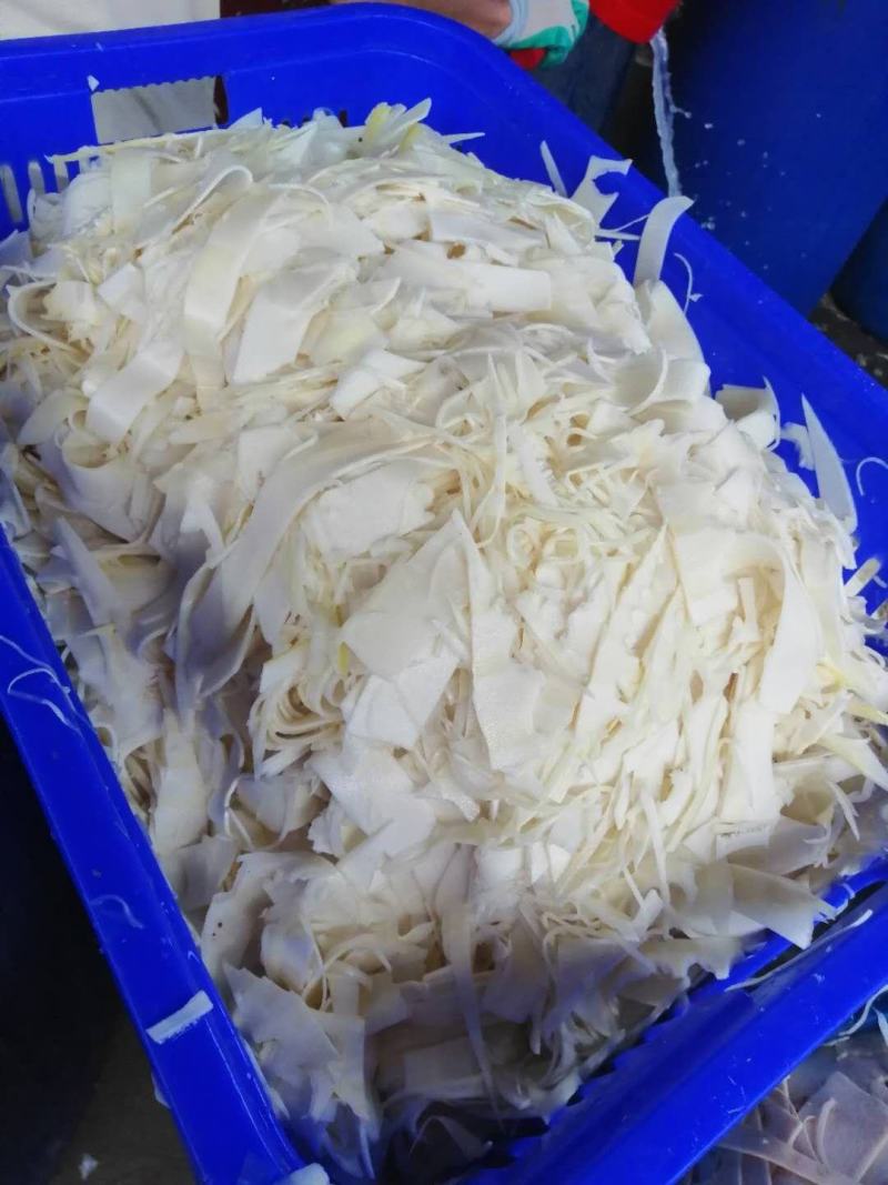 加工笋丝，笋片，可代加工