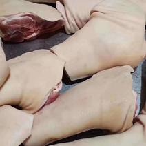 【肉类冻品】猪前肘，6.7.8个头的大量有货，干净无毛
