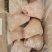 【肉类冻品】猪前肘，6.7.8个头的大量有货，干净无毛
