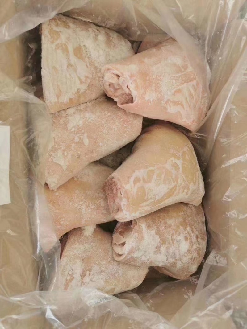 【肉类冻品】猪前肘，6.7.8个头的大量有货，干净无毛