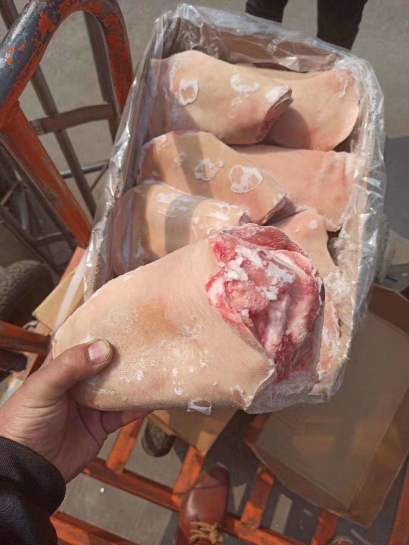 【肉类冻品】猪前肘，6.7.8个头的大量有货，干净无毛