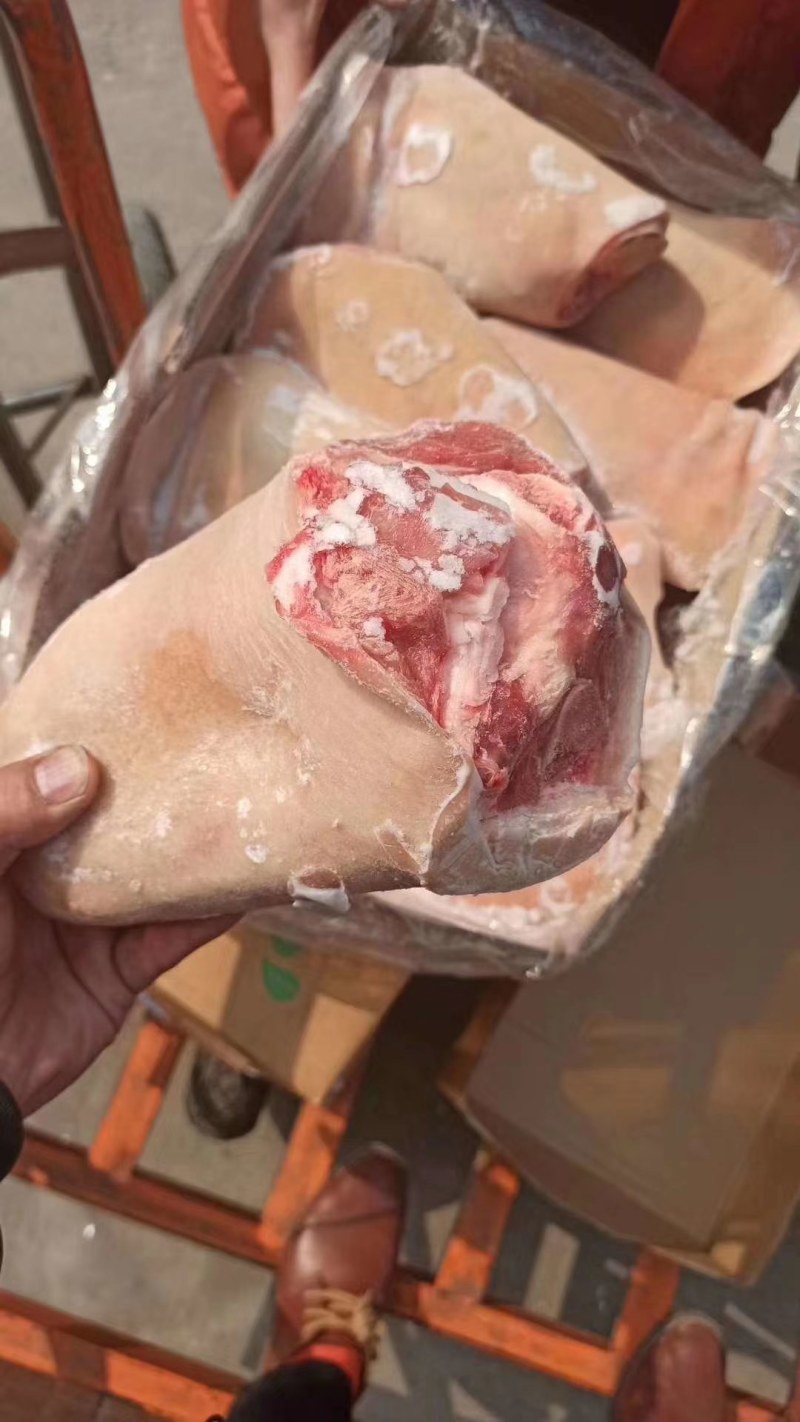 【肉类冻品】猪前肘，6.7.8个头的大量有货，干净无毛