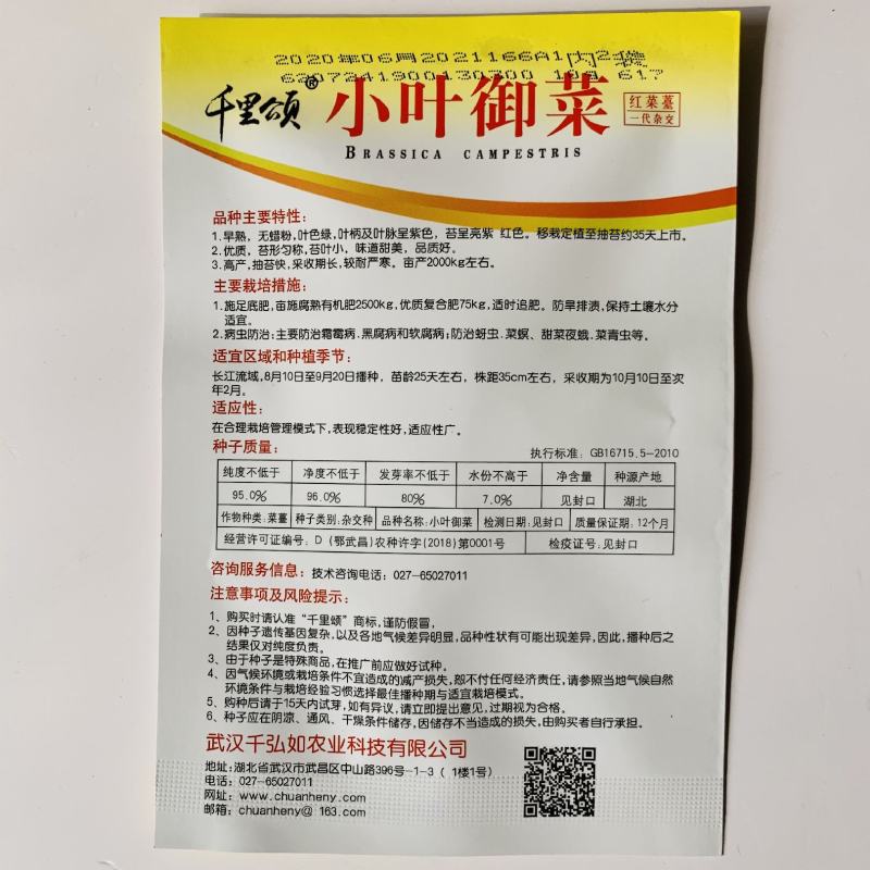 小叶御菜红心菜苔种子