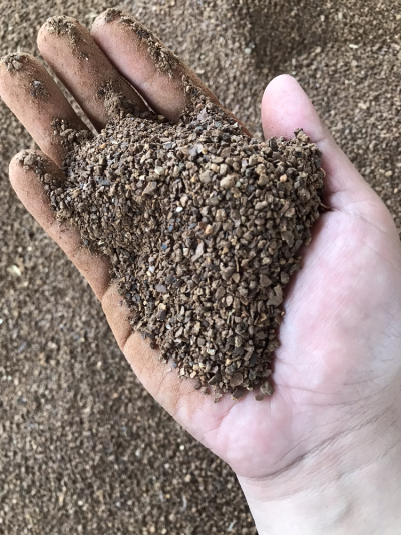 茶粕，油茶加工后的茶粕