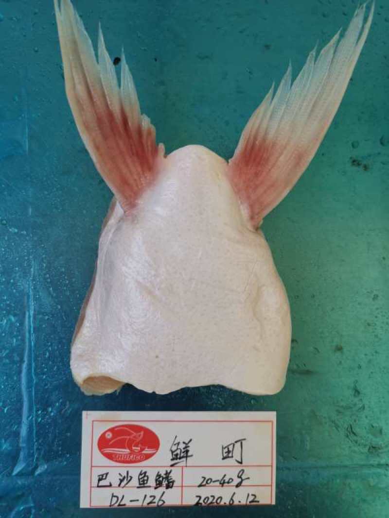 越南正关进口板冻巴沙鱼翅，鱼鳍。一件20斤