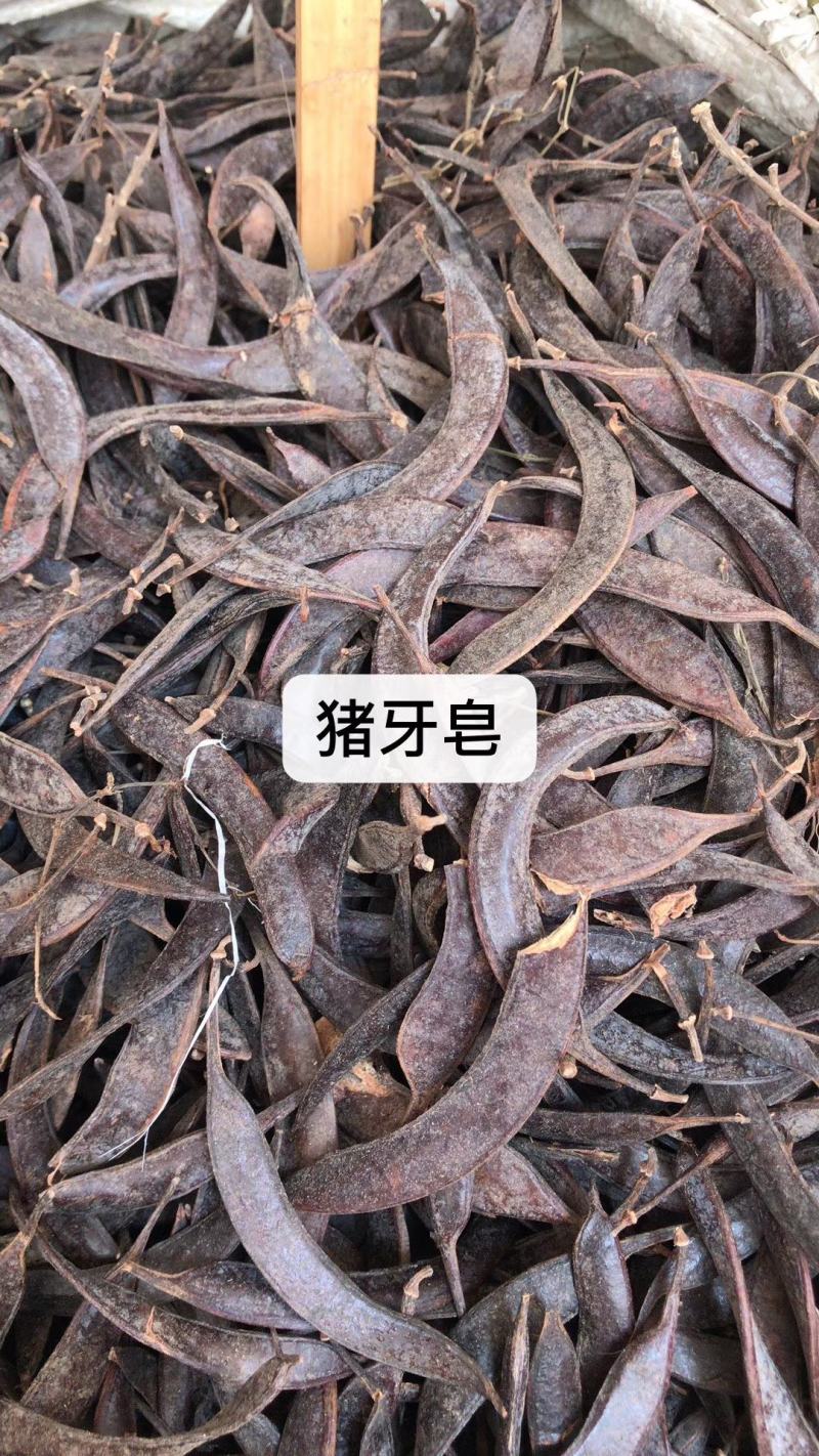 战骨/黑眉根/白眉根/土花椒/鸡心黄/猪牙皂/葫芦茶/