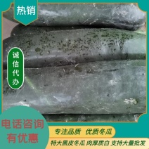 【精品】黑皮冬瓜基地直供条形直颜色亮包上车