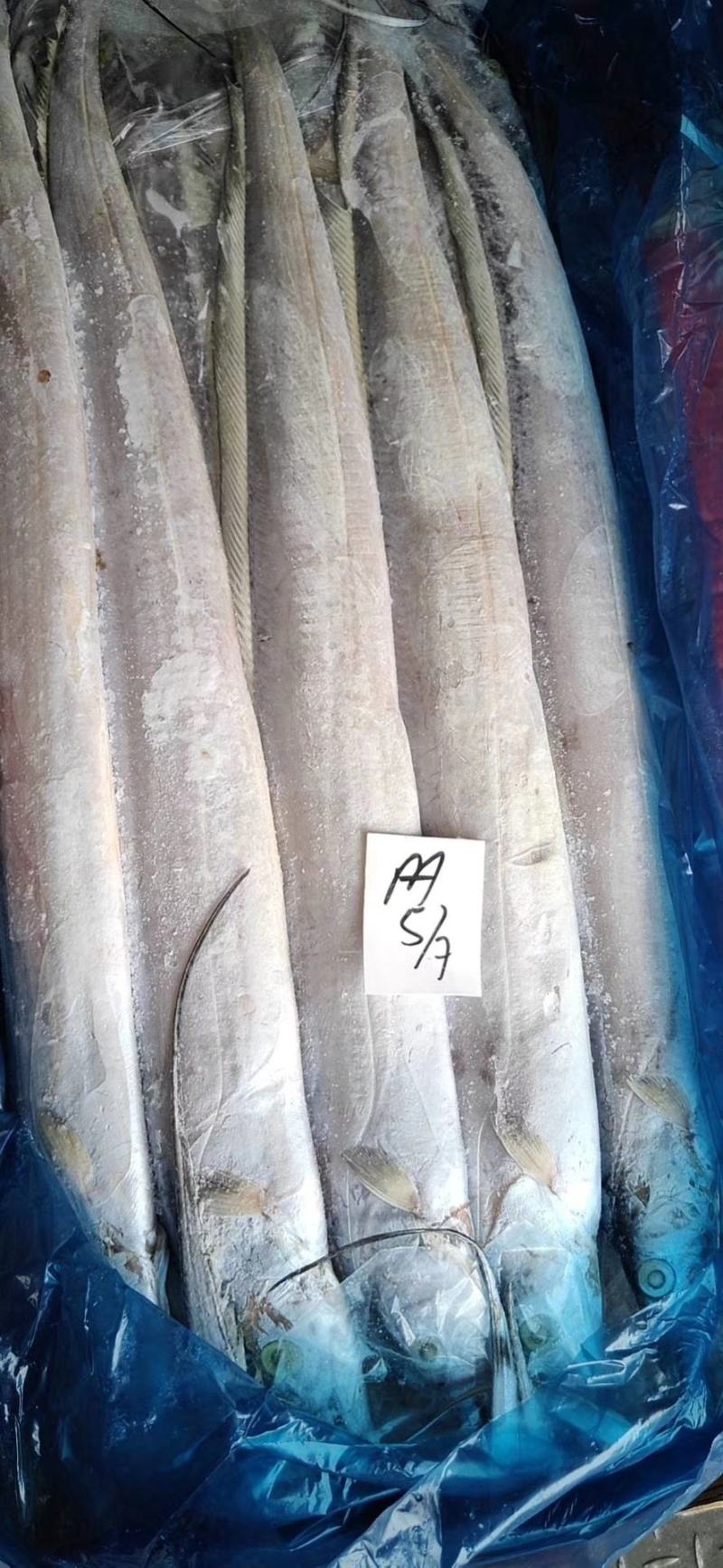 带鱼，黄花，金昌，规格齐全