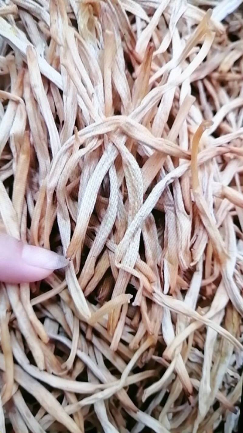 包邮：宁夏白条)黄花菜，箱装20斤，保质保量保退保换
