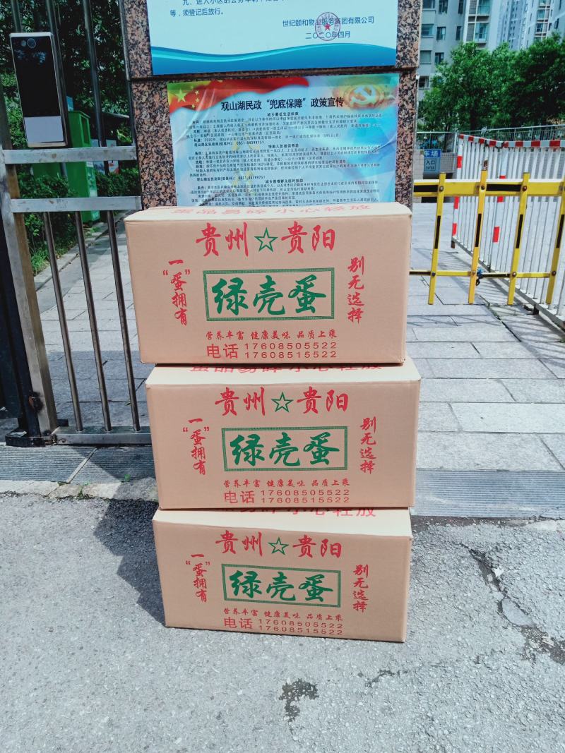 鸡蛋批发，质量保证，