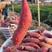 开封西瓜红红薯，产地现挖现发，商超专供，
