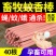 牧兽用蚊香棒批發促销整箱大养殖场猪场专用长灭蚊香养殖用具
