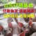 【品种纯正】三元仔猪防疫到位价格美丽包运输到家