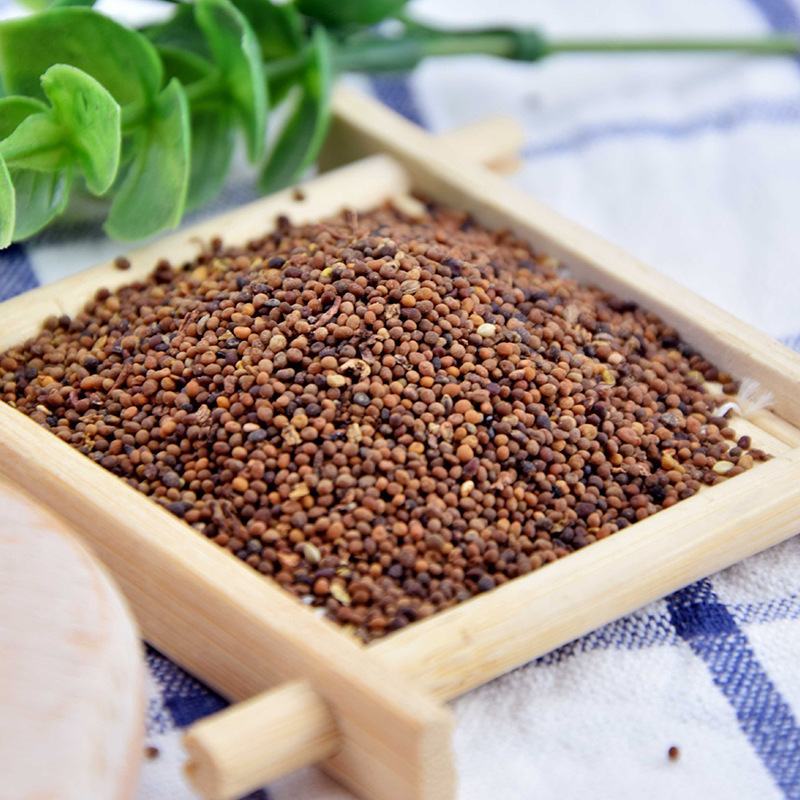 菟丝子吐丝籽兔丝子可打粉水洗正品各种规格