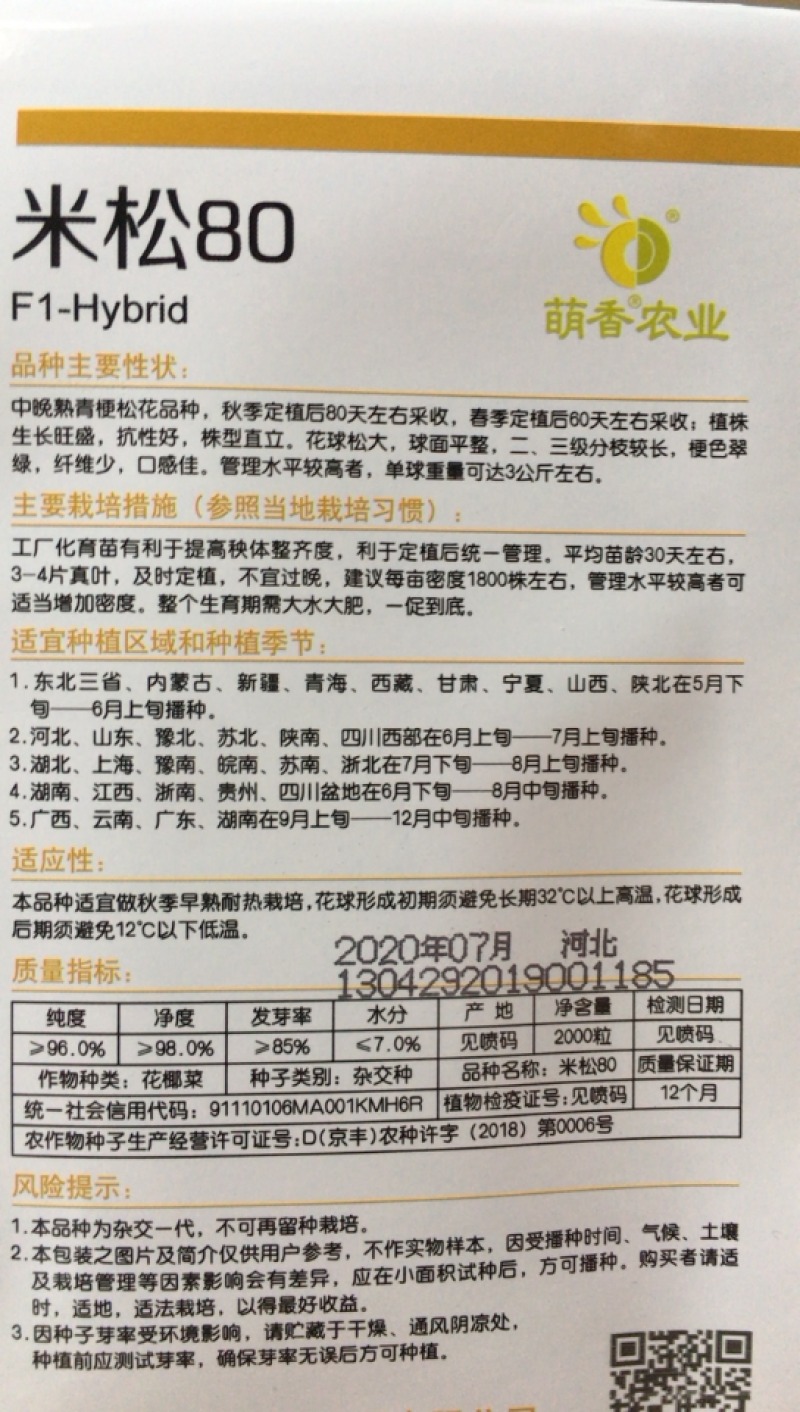 松花菜种子～米松80青梗菜白客商喜欢