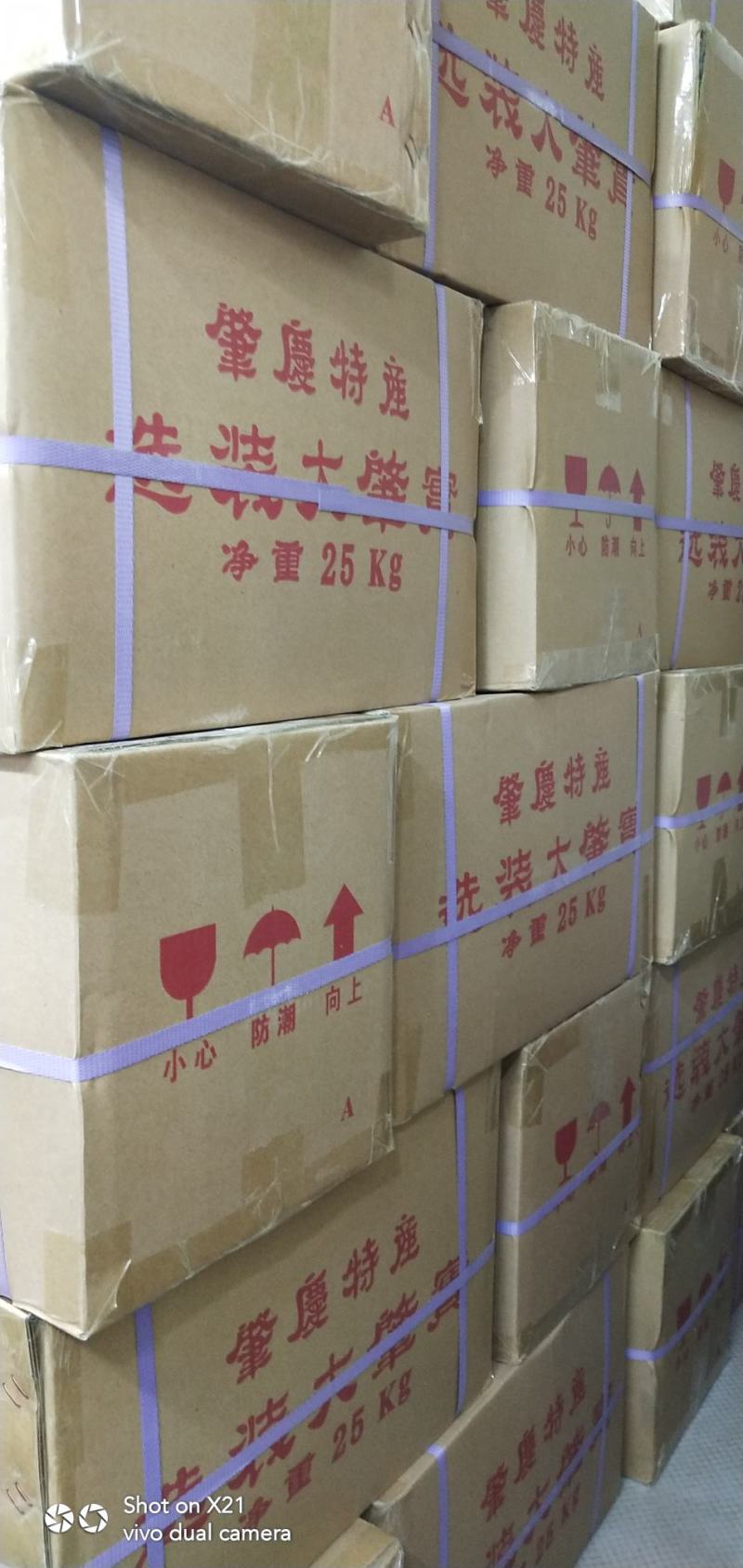 肇庆芡实米正宗肇庆芡实规格齐全24小时发货不包邮
