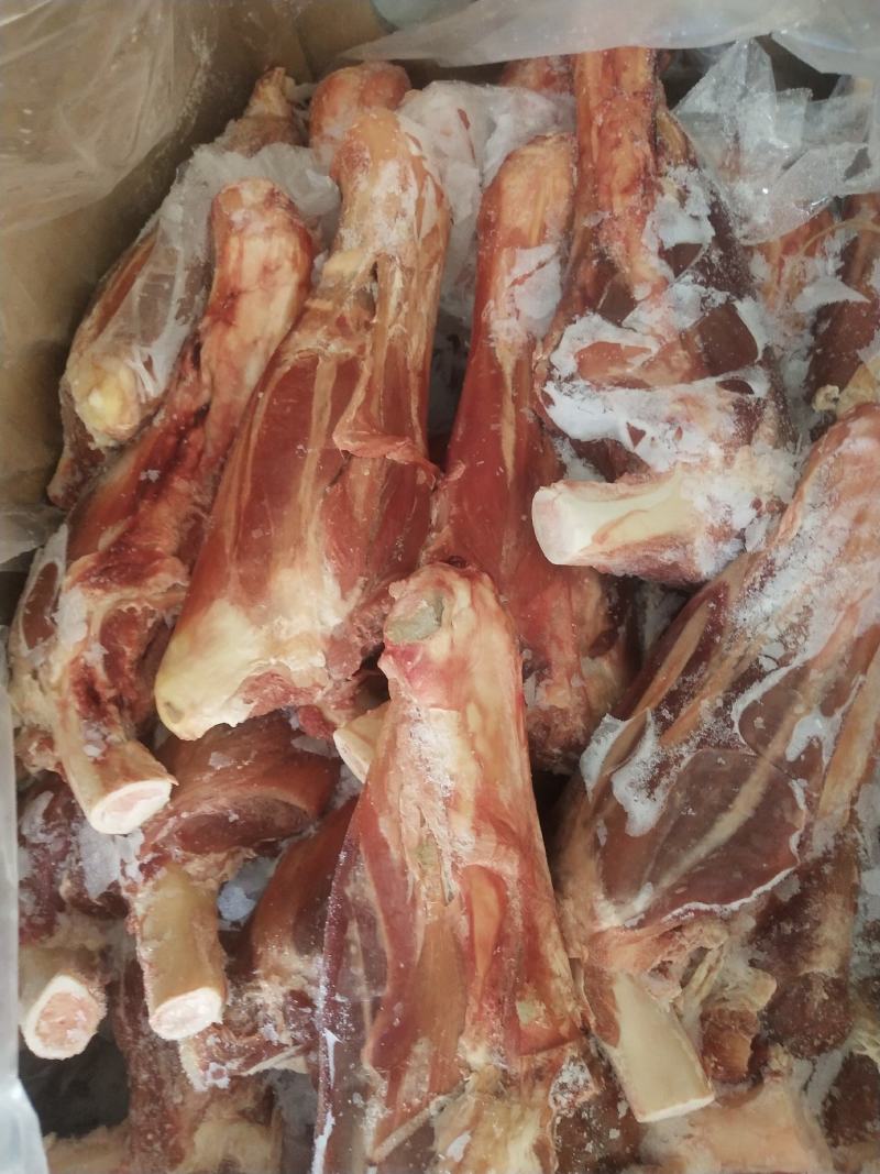 内蒙古锡林郭勒草原大羊前小腿，6至7俩一根，质量很好