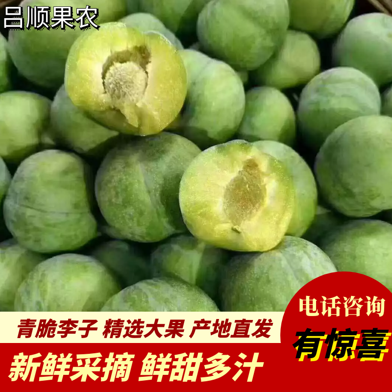 重庆巫山青脆李子青脆脱骨李精选好果一手货源大量供应口感好