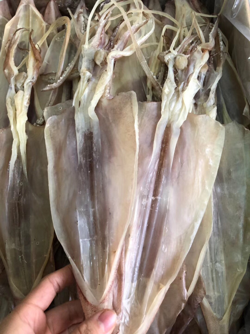 鱿鱼干，大量现货，本港货