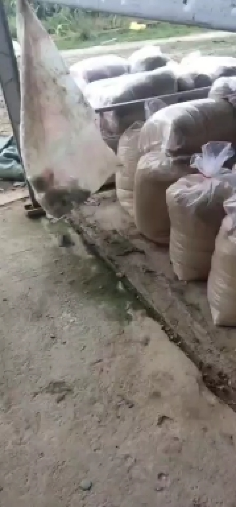 《每天都为你供应新鲜豆腐渣黄豆壳，腐竹碎沫》