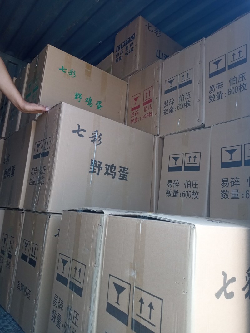 山东野鸡蛋，生态养殖基地直供保证质量