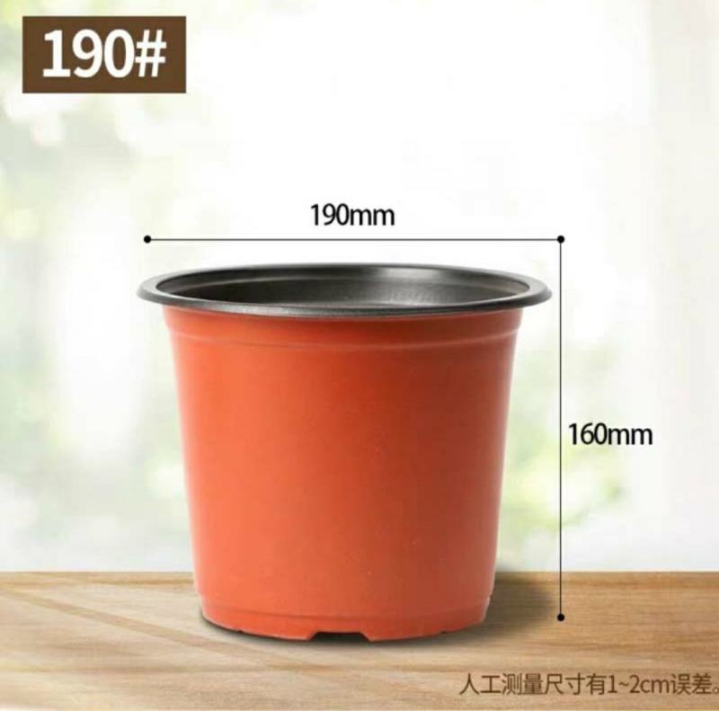 花盆种植育苗双色营养钵塑料一次性软简易大小号软皮耐晒