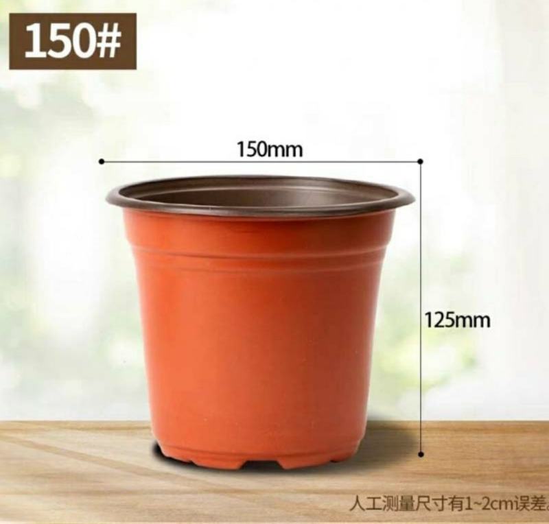 花盆种植育苗双色营养钵塑料一次性软简易大小号软皮耐晒