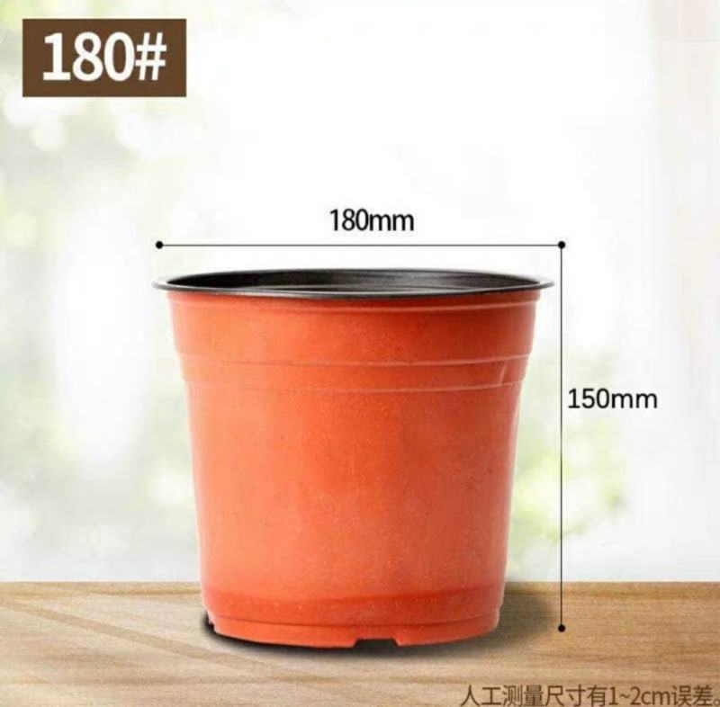 花盆种植育苗双色营养钵塑料一次性软简易大小号软皮耐晒
