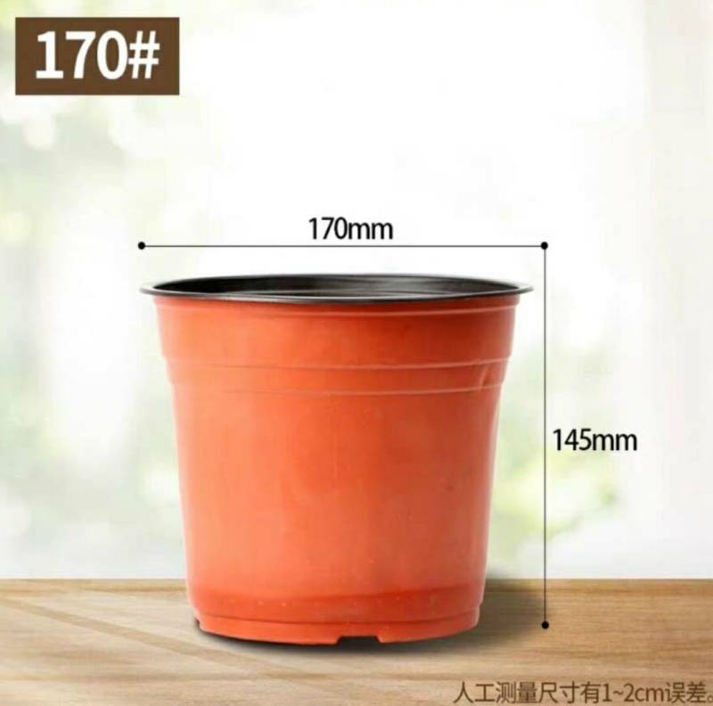 花盆种植育苗双色营养钵塑料一次性软简易大小号软皮耐晒
