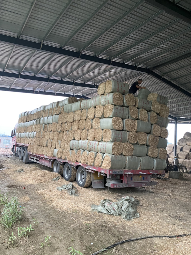 精品揉丝小麦秸秆适用于养殖