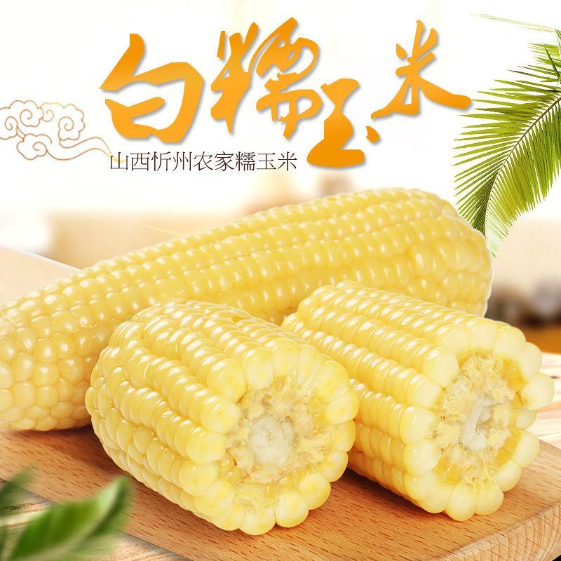 山西忻州玉米甜玉米软玉米糯玉米真空玉米甜玉米